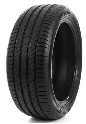 Delinte DS2 195/55R16 91V