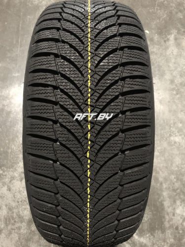 Roadstone Winguard Snow'G WH2 205/60R15 91H